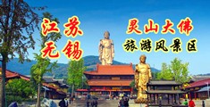 www.骚穴江苏无锡灵山大佛旅游风景区